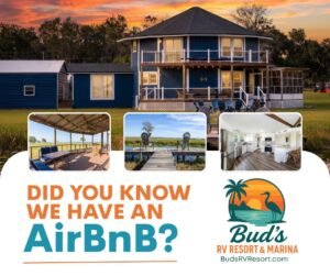 buds - airbnb